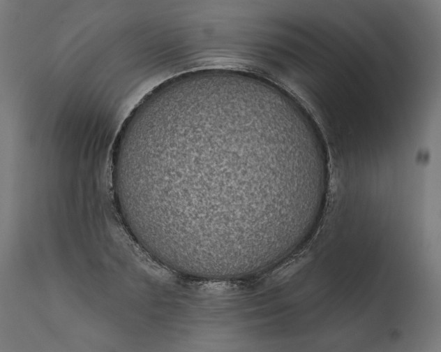 X0000111480883200907281159