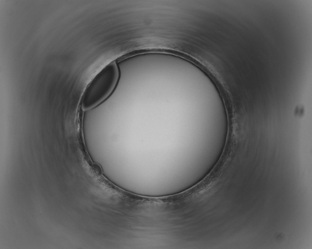 X0000111480885200907281159