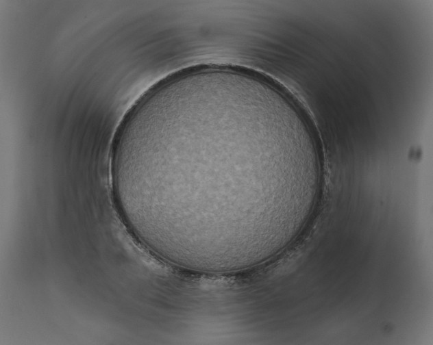X0000111480887200907281159
