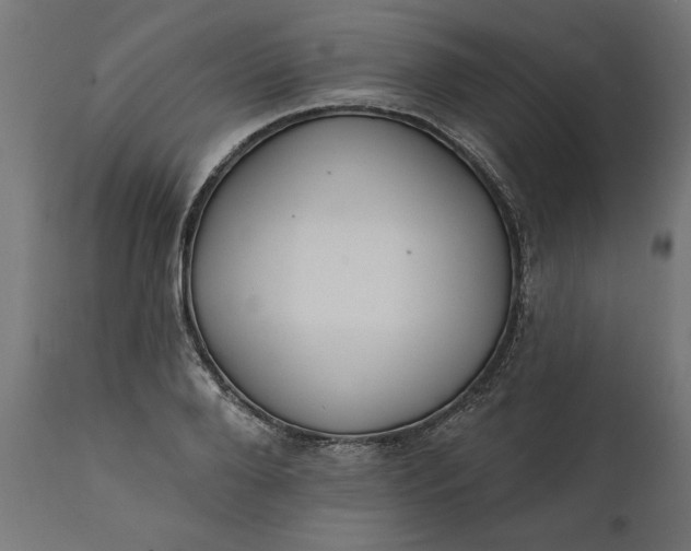 X0000111480888200907281159