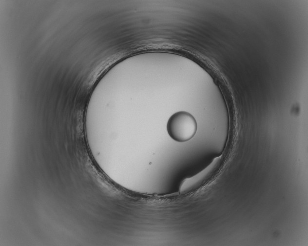 X0000111480889200907281159
