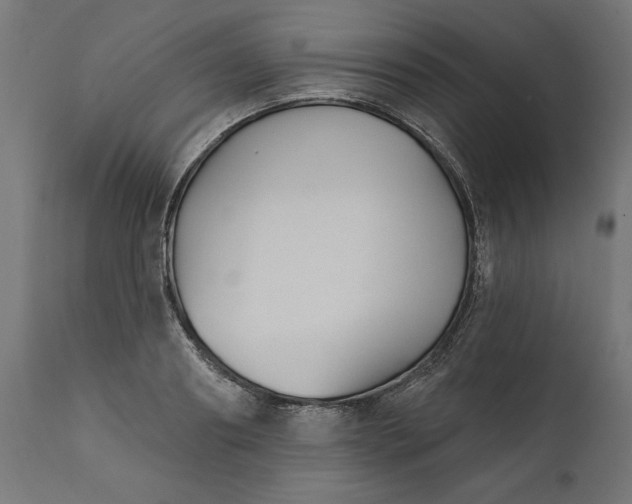 X0000111480890200907281159