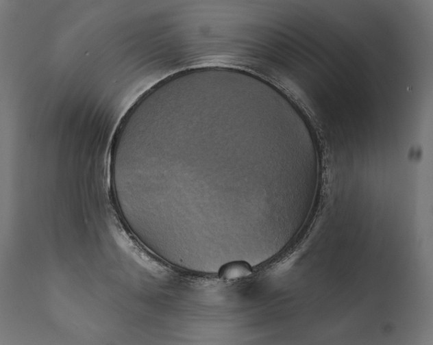 X0000111480892200907281159