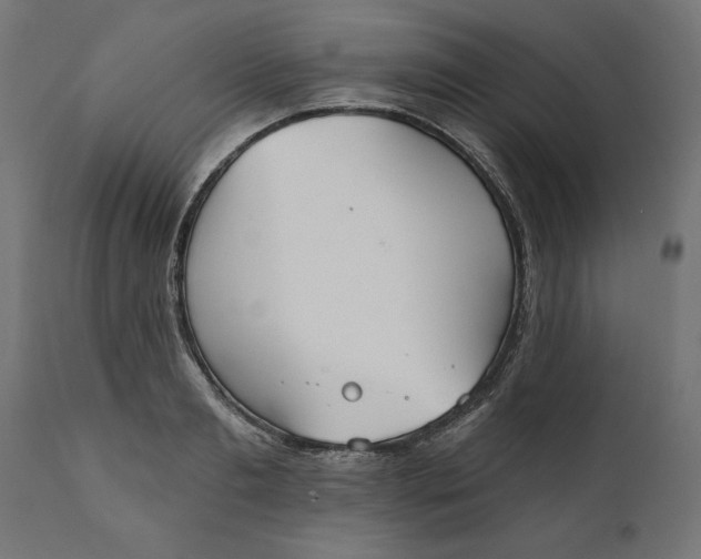 X0000111480893200907281159