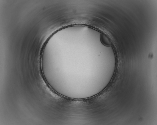 X0000111480894200907281159