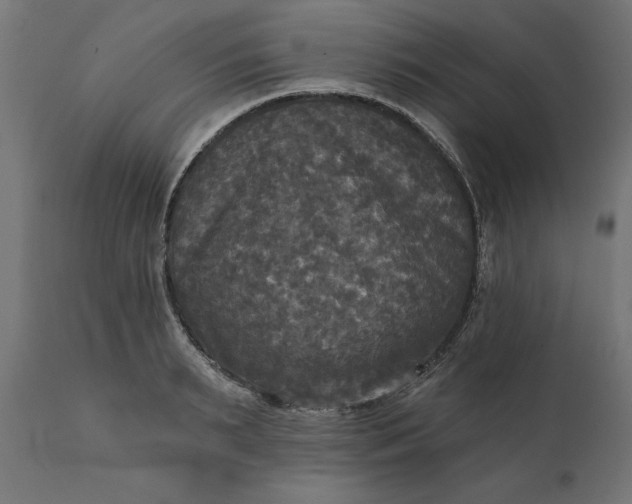 X0000111480895200907281159