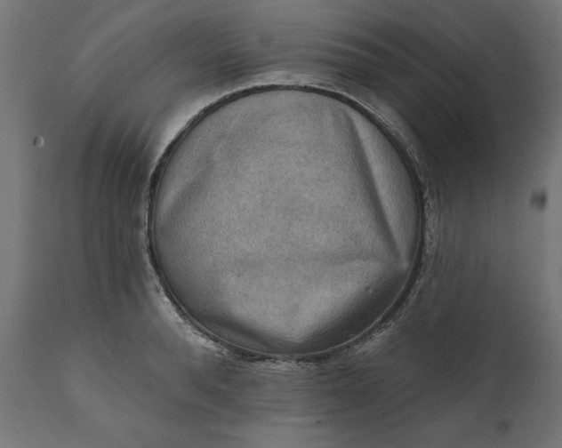 X0000111480896200907281159