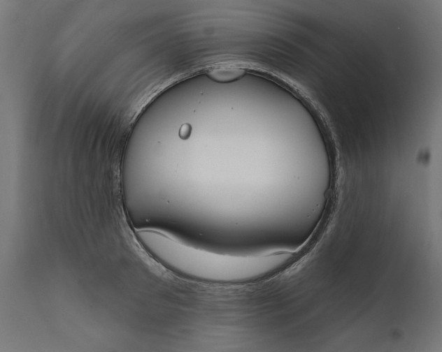 X0000111480897200907281159