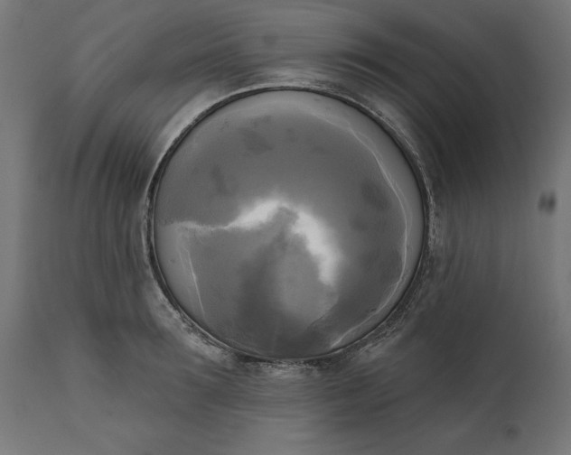 X0000111480899200907281159