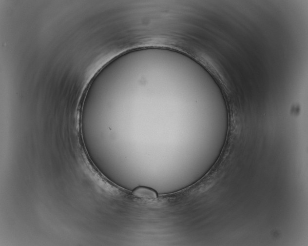 X0000111480900200907281159