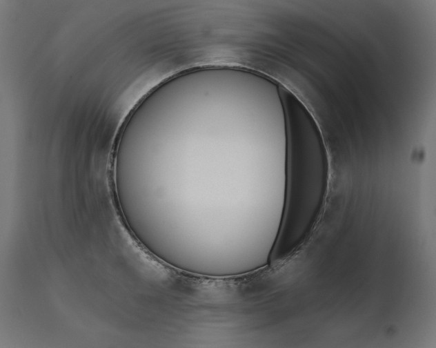 X0000111480901200907281159