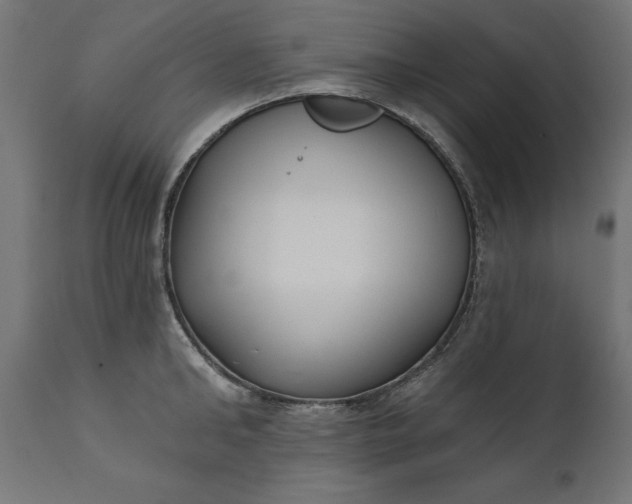 X0000111480902200907281159
