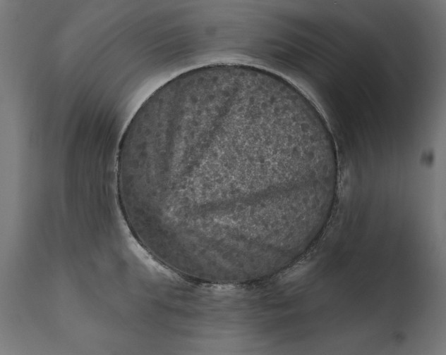 X0000111480903200907281159