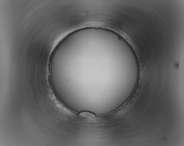 X0000111480904200907281159