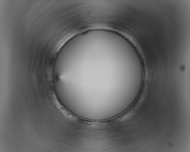 X0000111480905200907281159