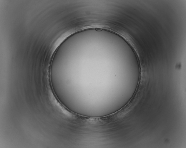 X0000111480906200907281159