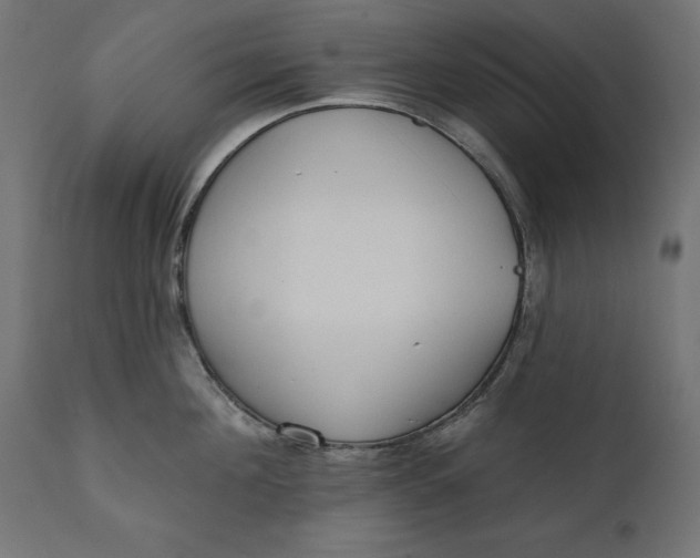 X0000111480908200907281159