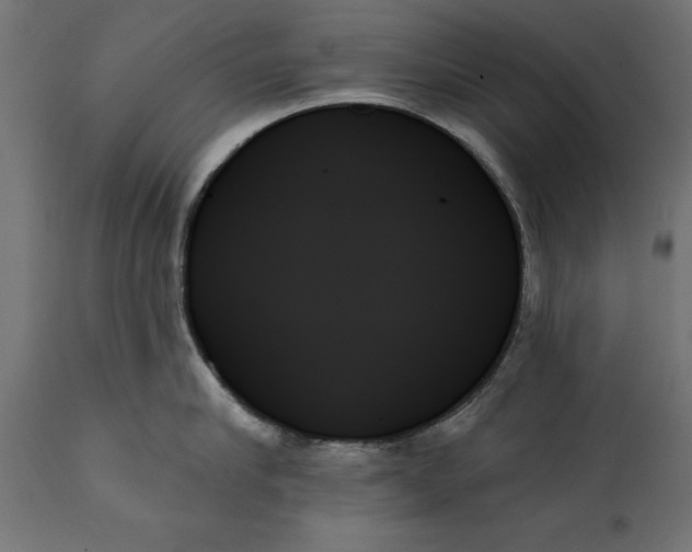 X0000111480910200907281159