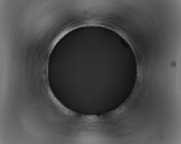 X0000111480911200907281159