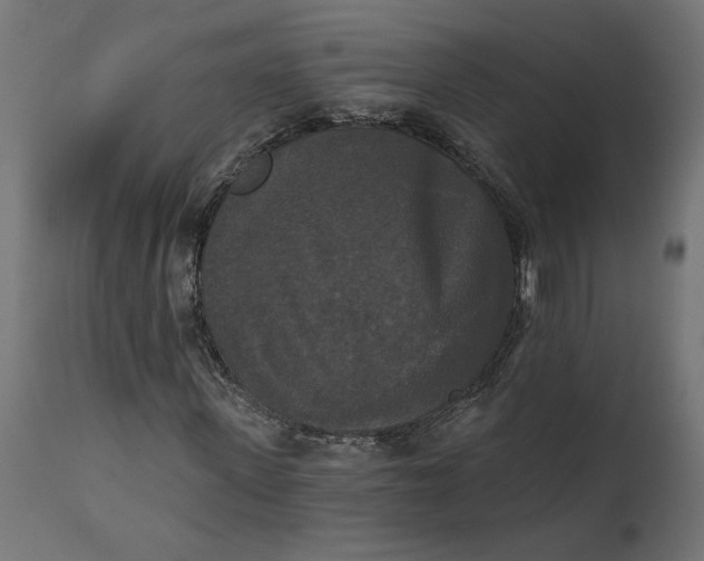 X0000111480915200907281158