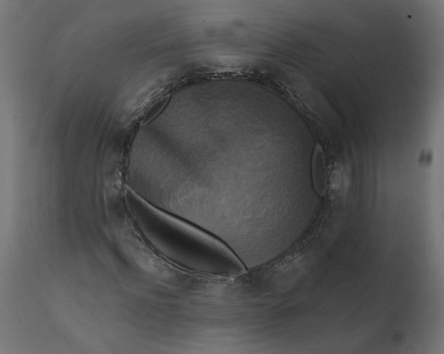X0000111480916200907281158