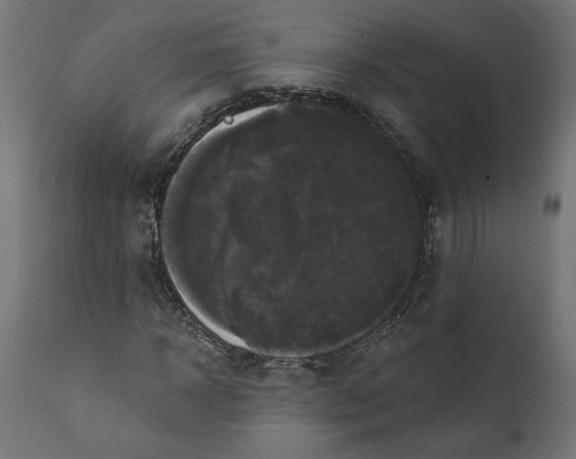 X0000111480918200907281158