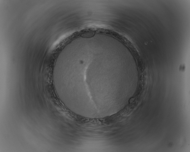 X0000111480919200907281158