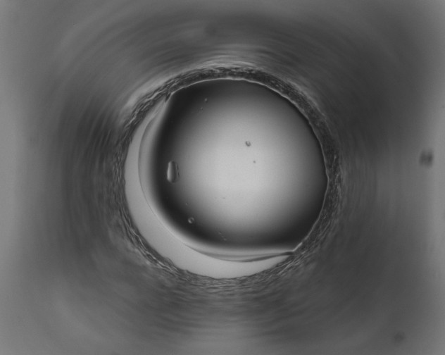 X0000111480920200907281158
