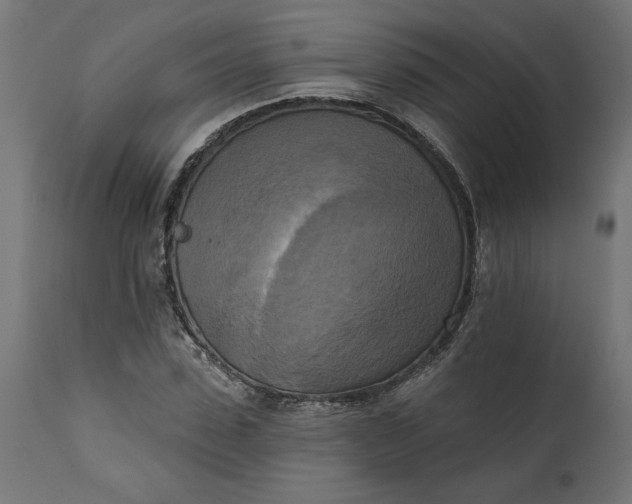 X0000111480923200907281159