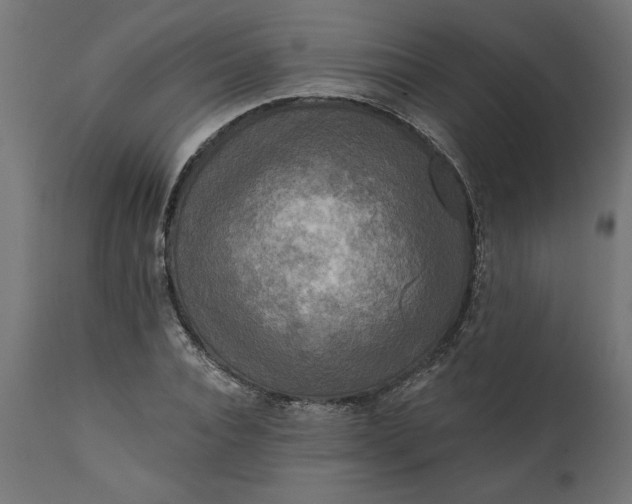 X0000111480928200907281159