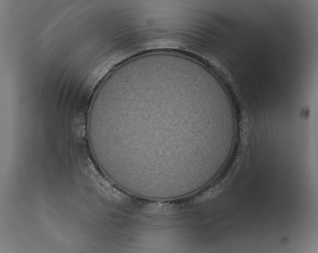 X0000111480929200907281159