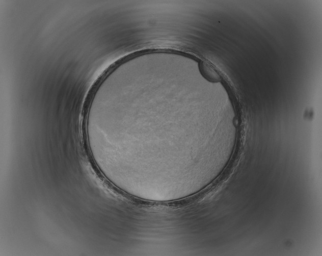X0000111480932200907281159