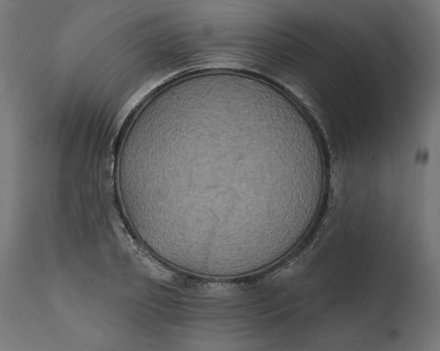 X0000111480933200907281159