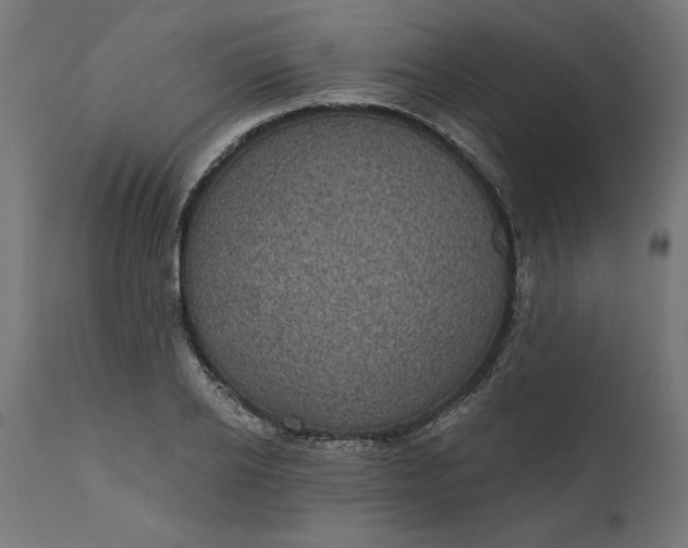 X0000111480934200907281159