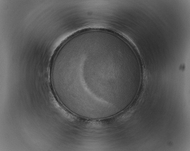 X0000111480935200907281159