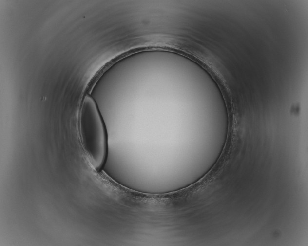 X0000111480936200907281159