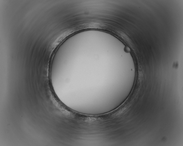 X0000111480938200907281159