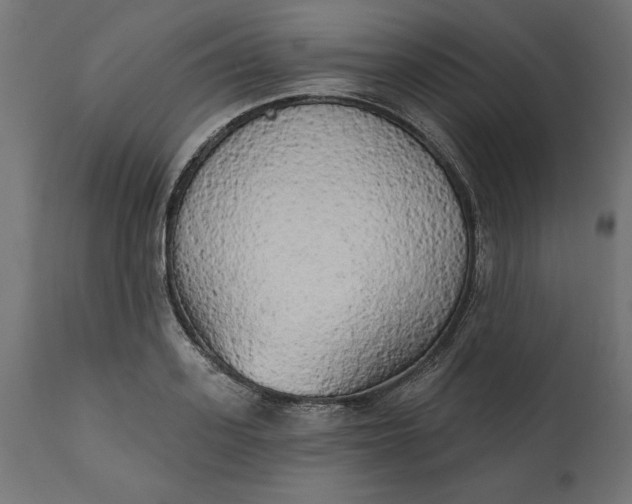 X0000111480939200907281159