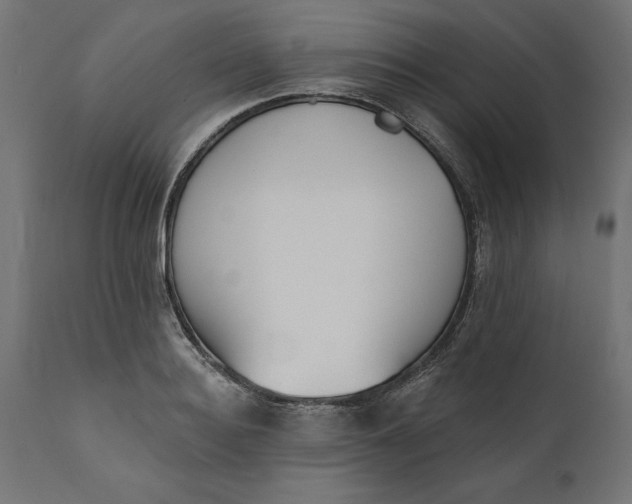 X0000111480940200907281159