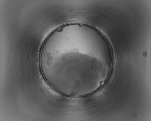 X0000111480941200907281159