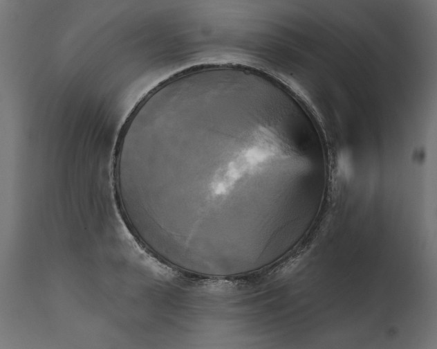 X0000111480943200907281159