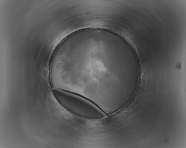 X0000111480944200907281159