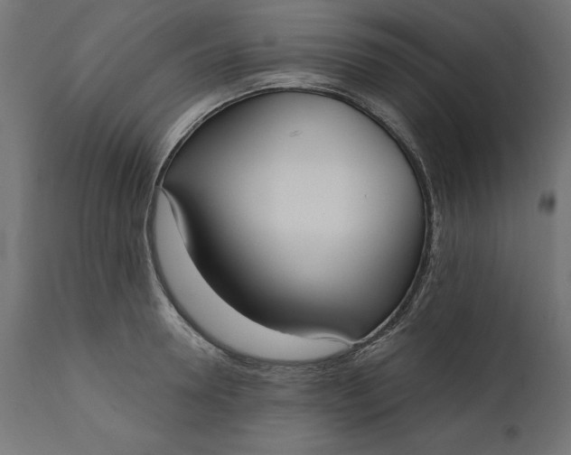 X0000111480946200907281159