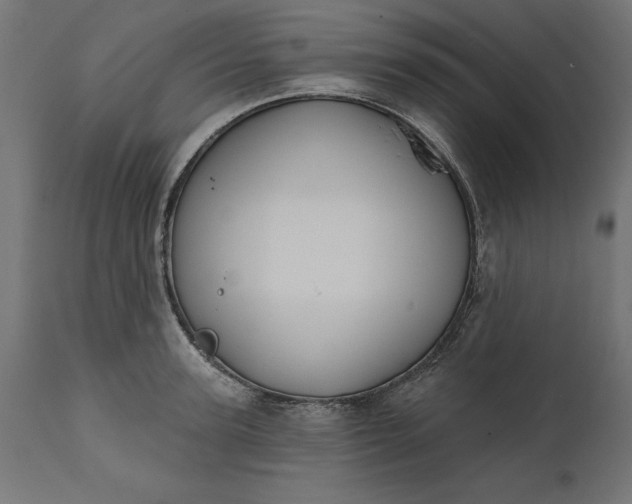 X0000111480947200907281159