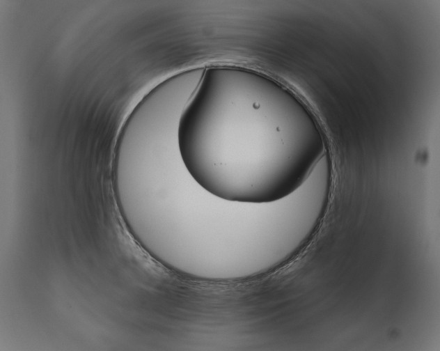 X0000111480948200907281159