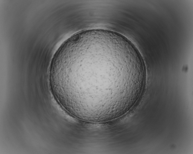 X0000111480949200907281159