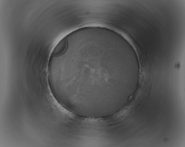 X0000111480951200907281159