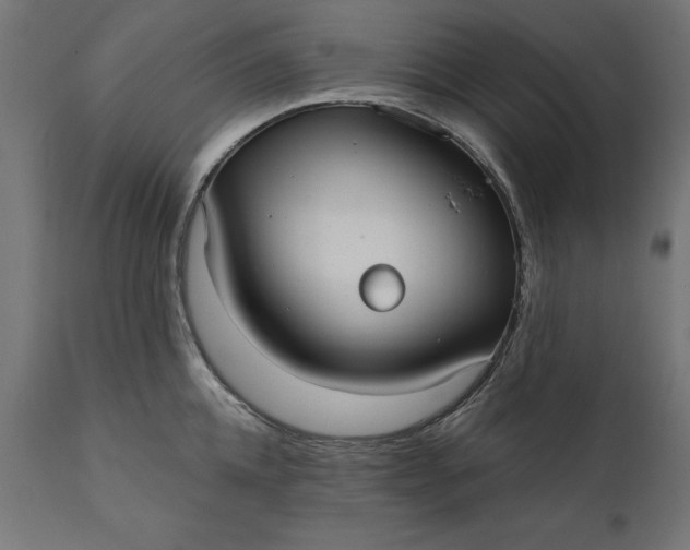 X0000111480952200907281159
