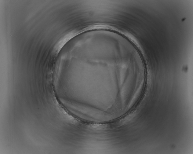 X0000111480953200907281159