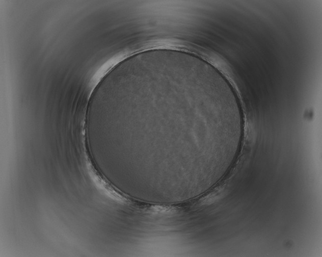 X0000111480954200907281159